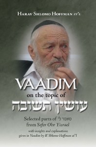 Picture of Vaadim on the topic of Osin Teshuva [Paperback]